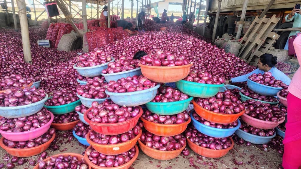 Quality grading at export facility